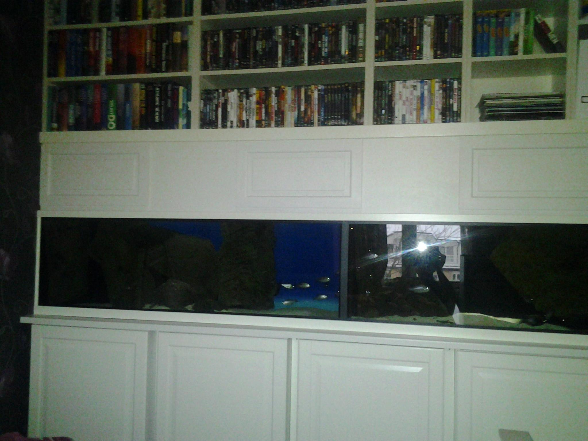 20130210_155513.jpg