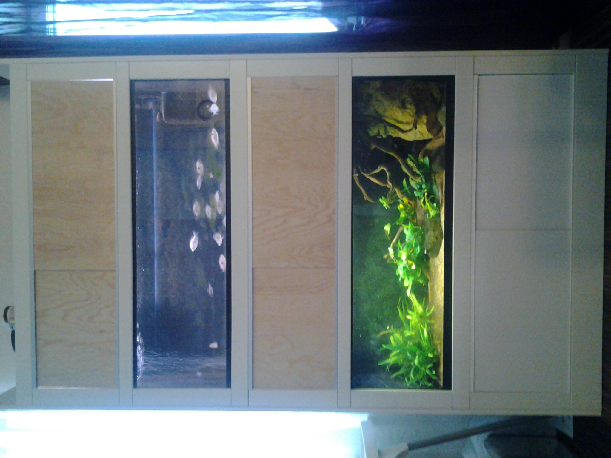 20130210_153207.jpg