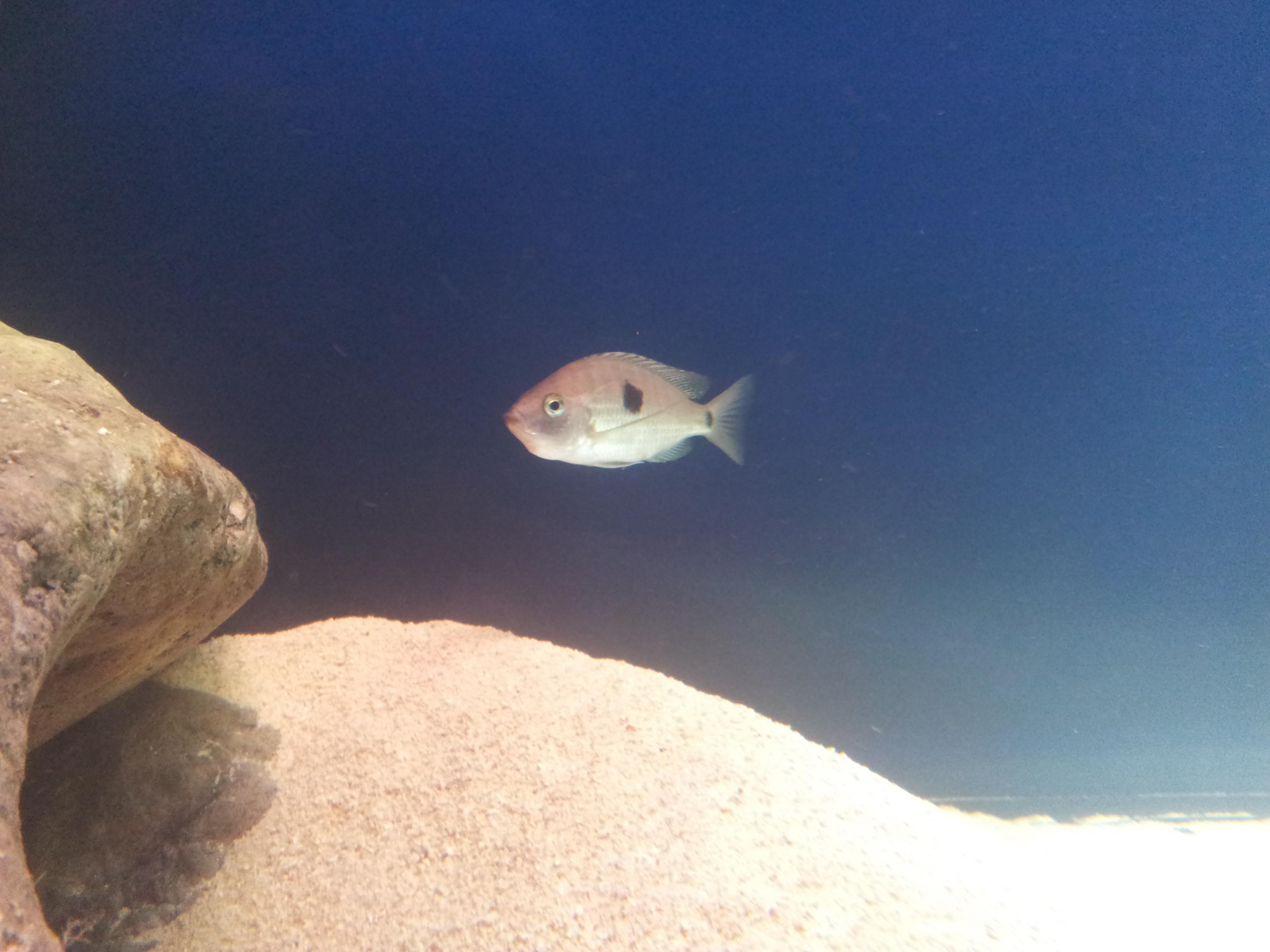 20130121_171142.jpg