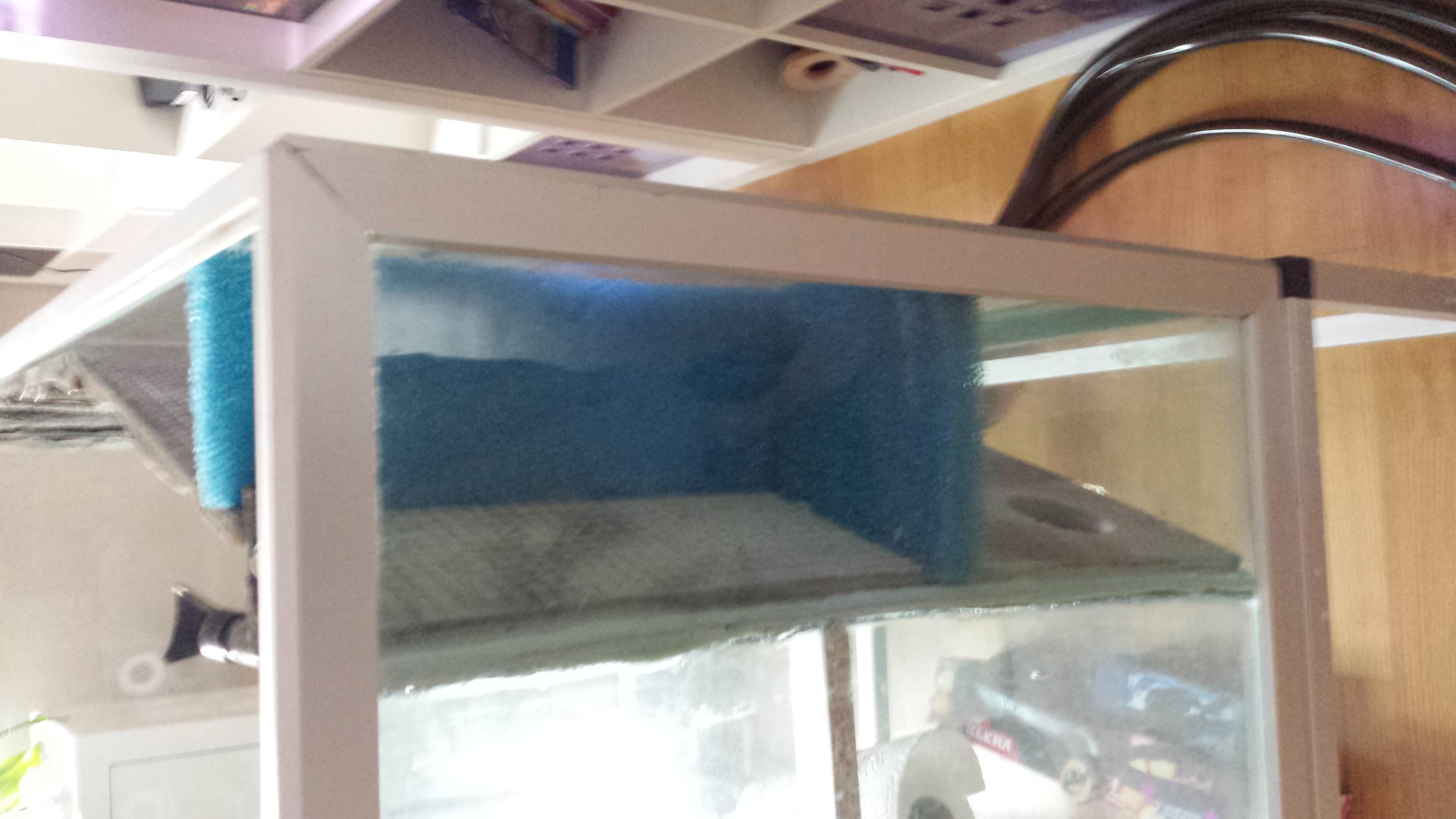 20140804_195421.jpg