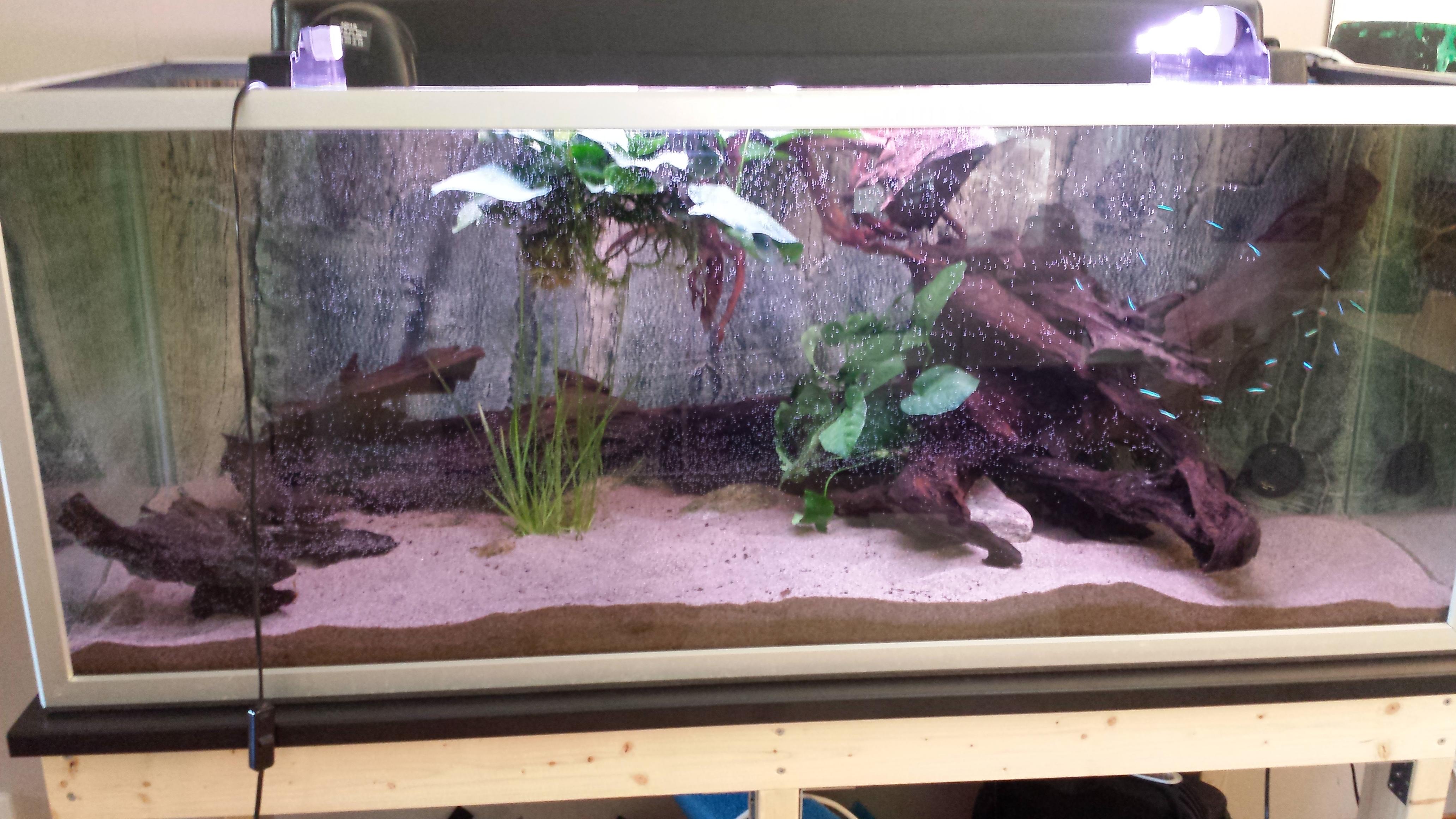 20140814_175851.jpg