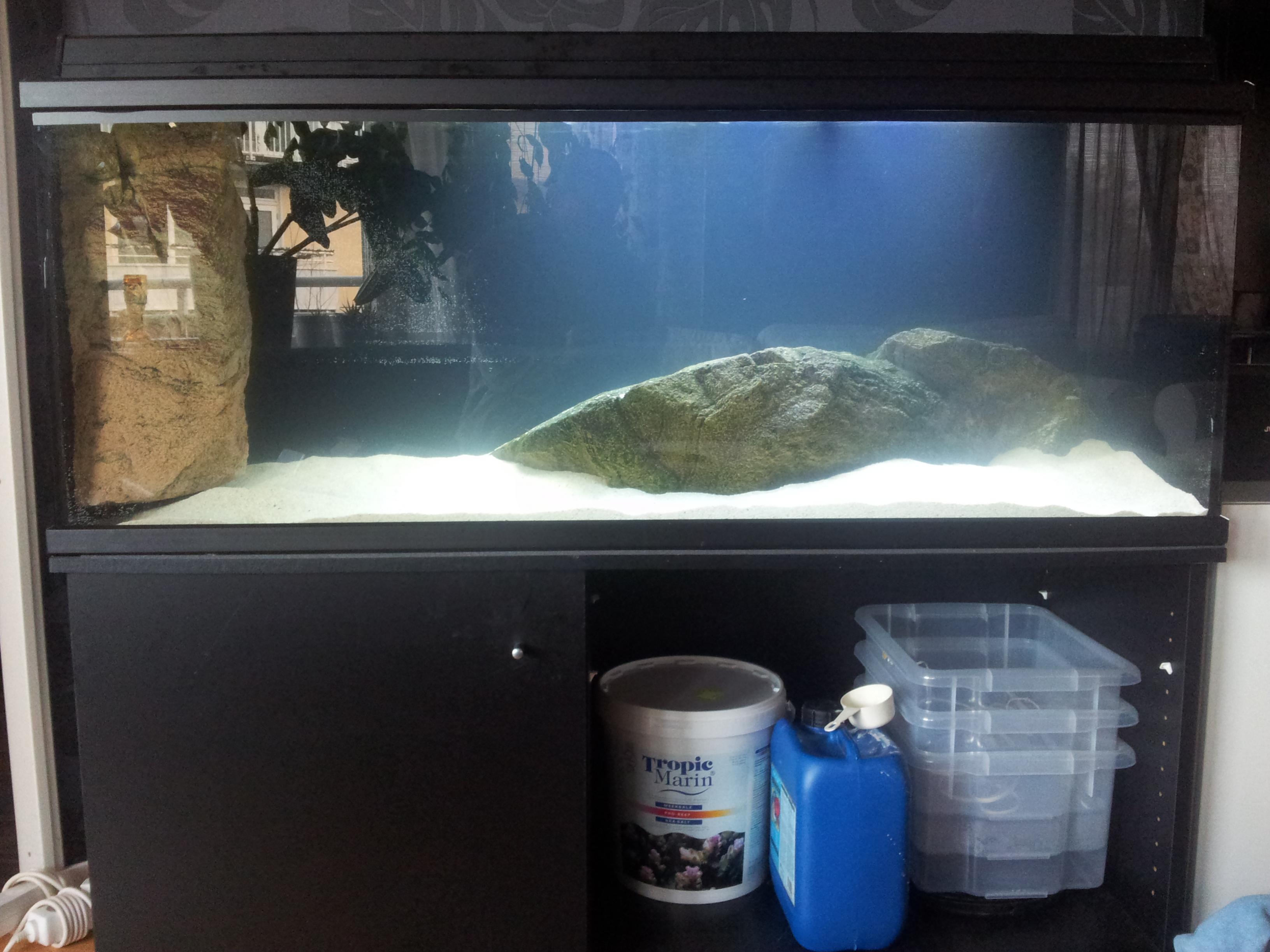 20131231_115742.jpg
