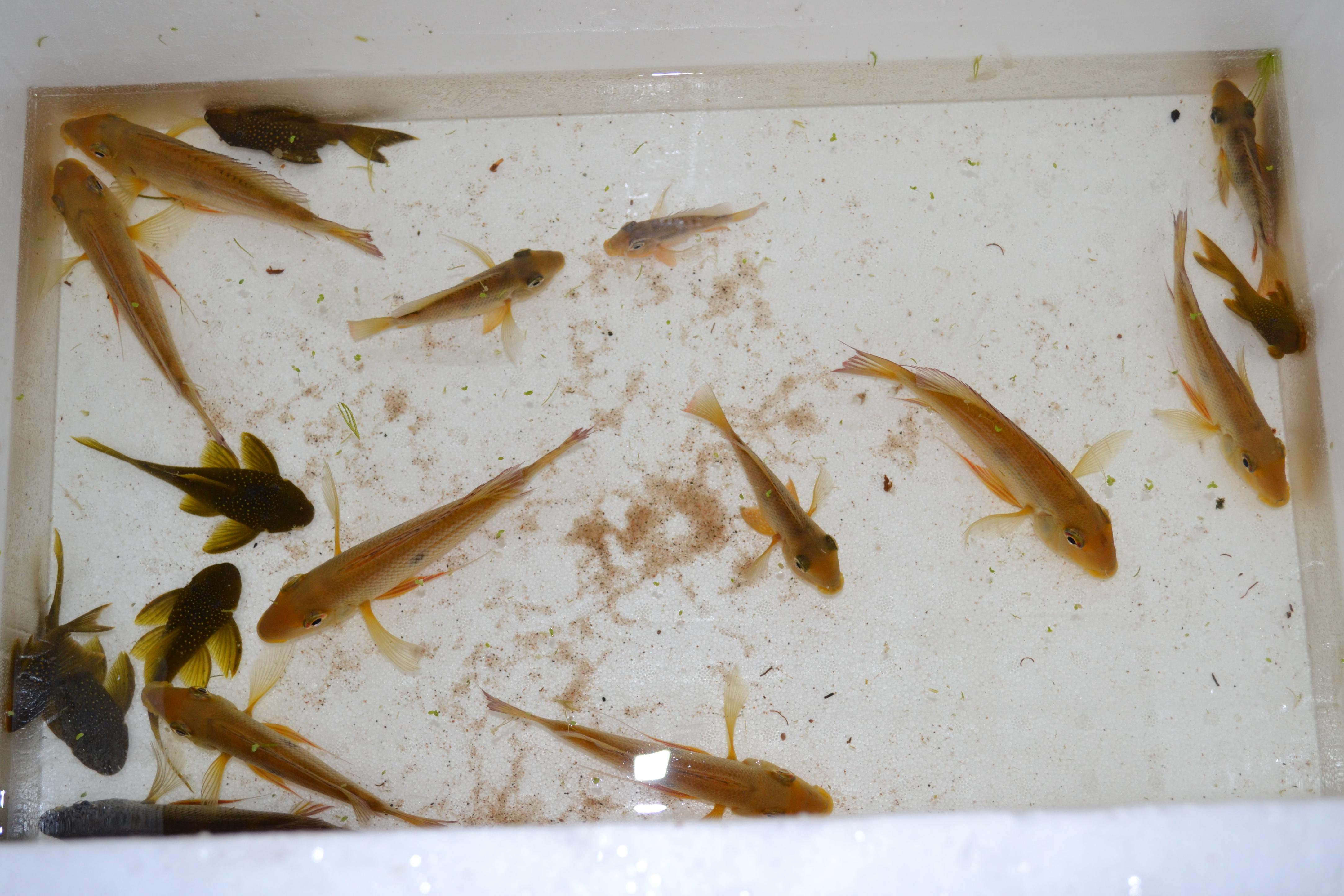 DSC_0139.jpg