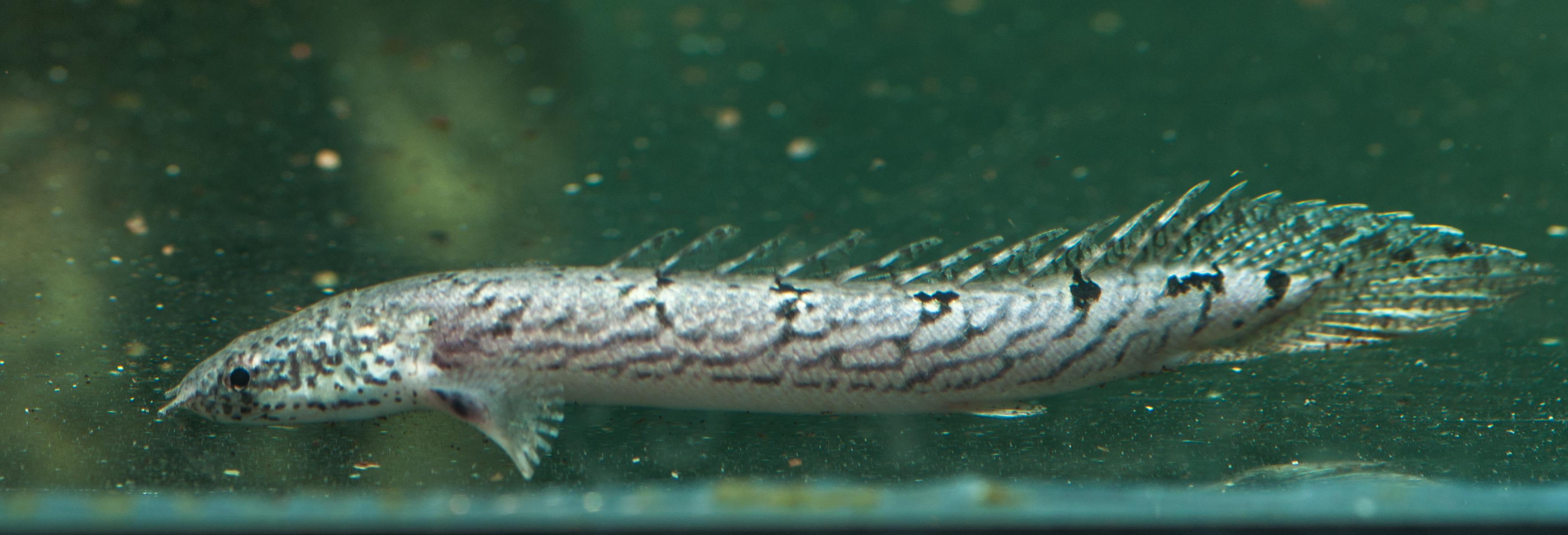 DSC_0290.jpg