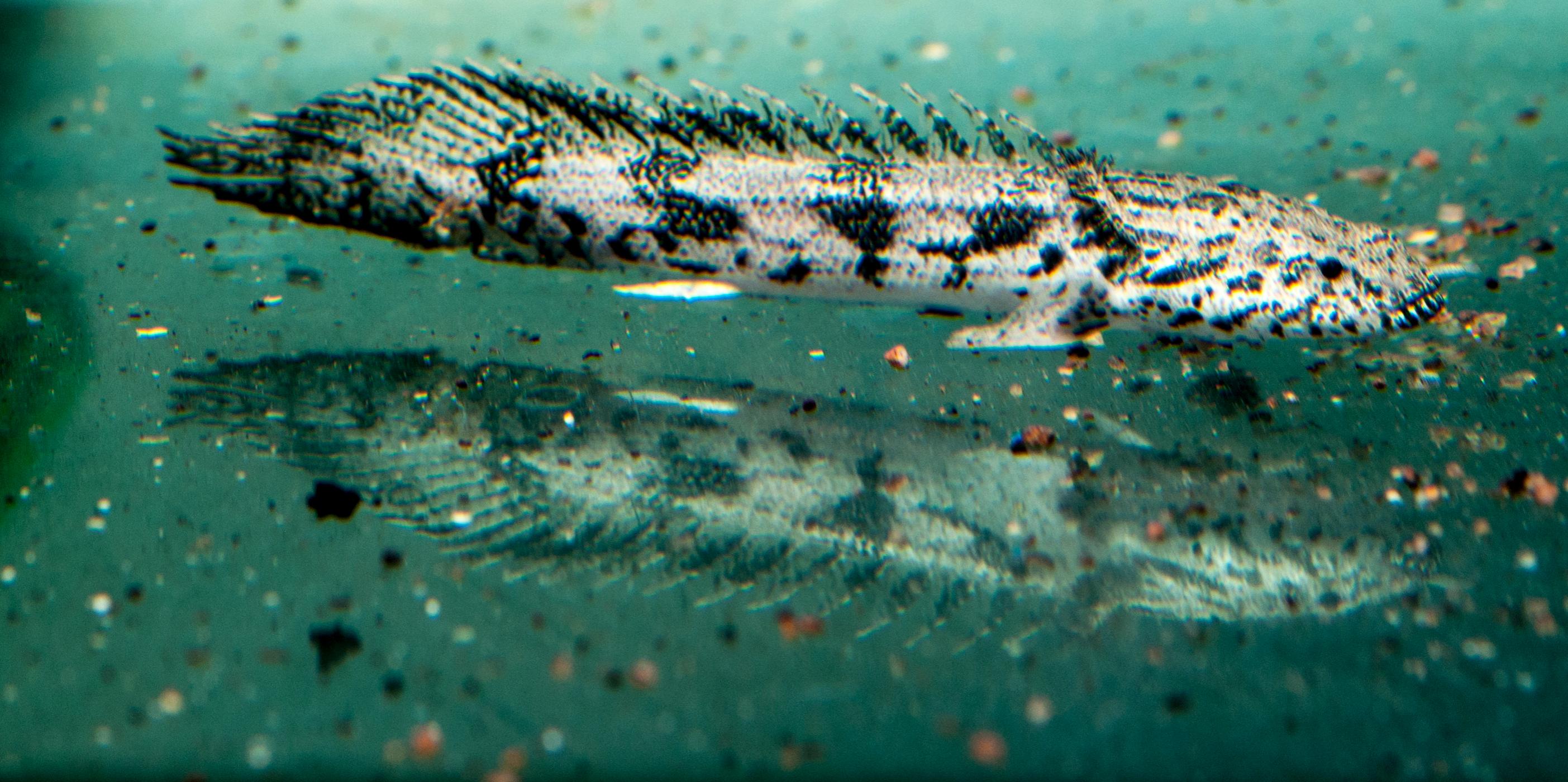 DSC_0300.jpg
