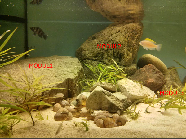 setup1.jpg