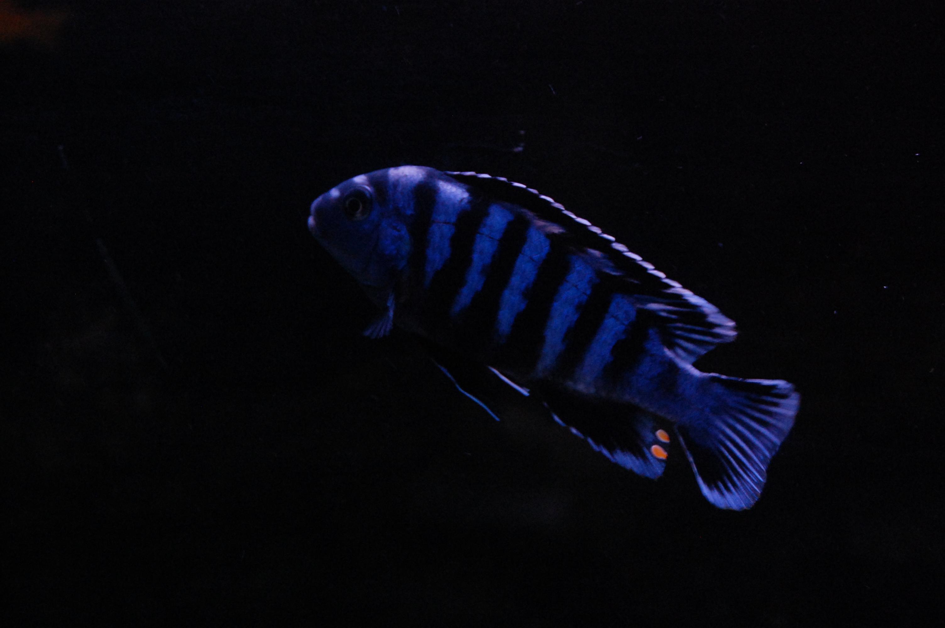 DSC_0266.jpg