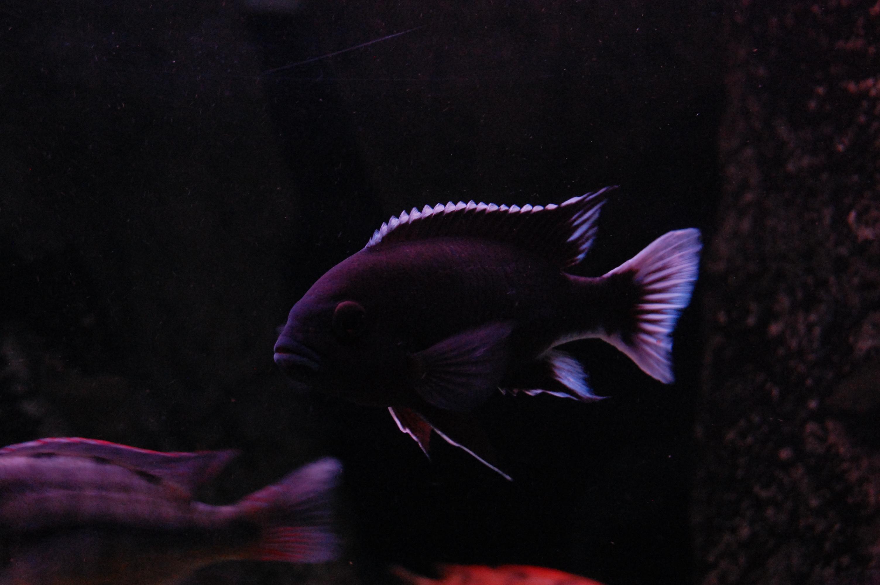 DSC_0183.jpg
