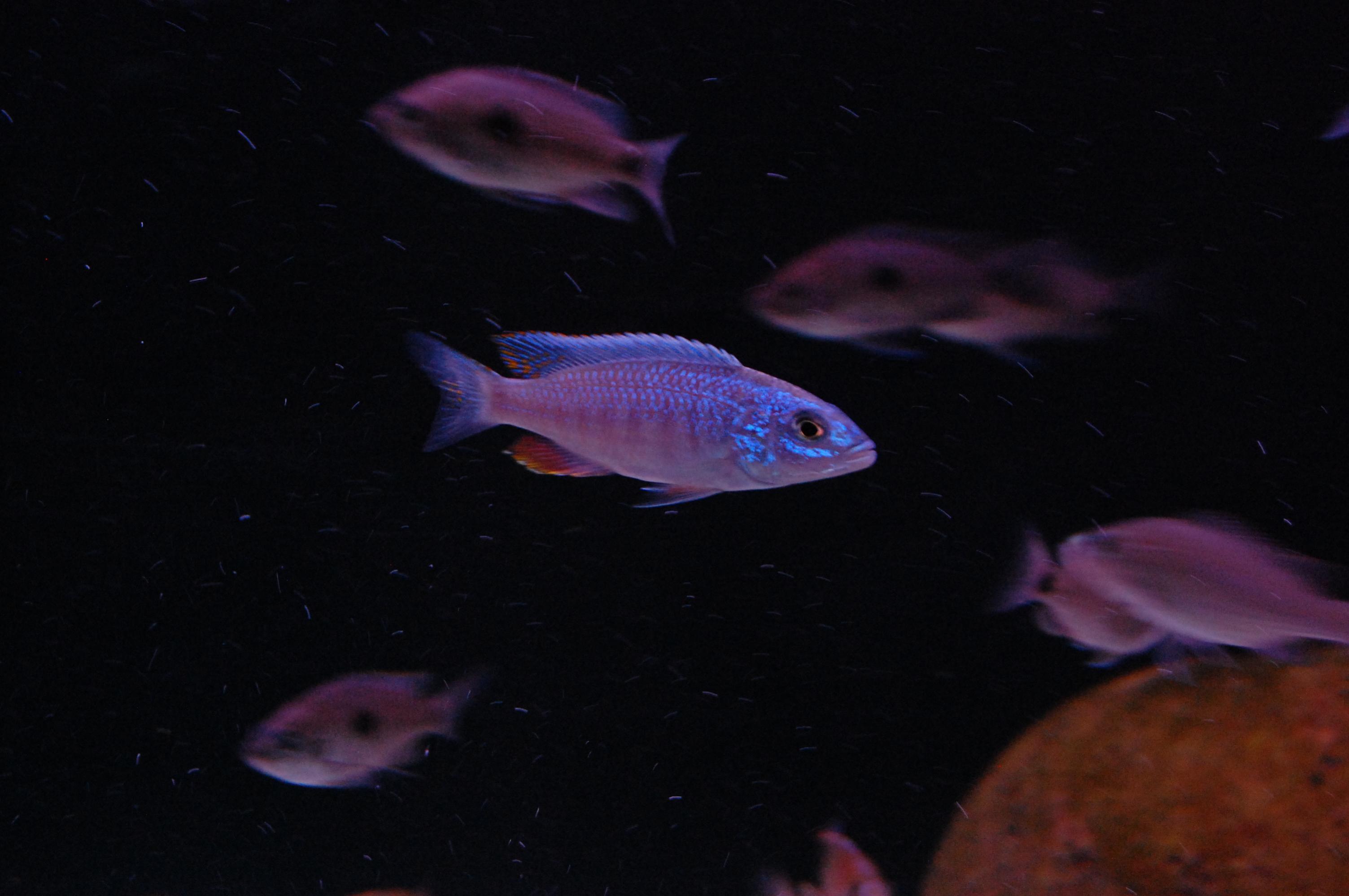 DSC_0254.jpg