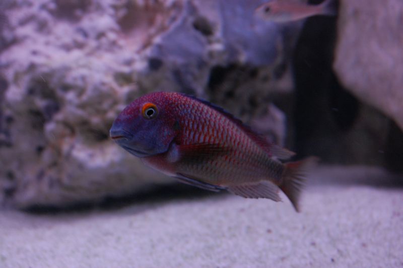 tn_DSC_0345.JPG