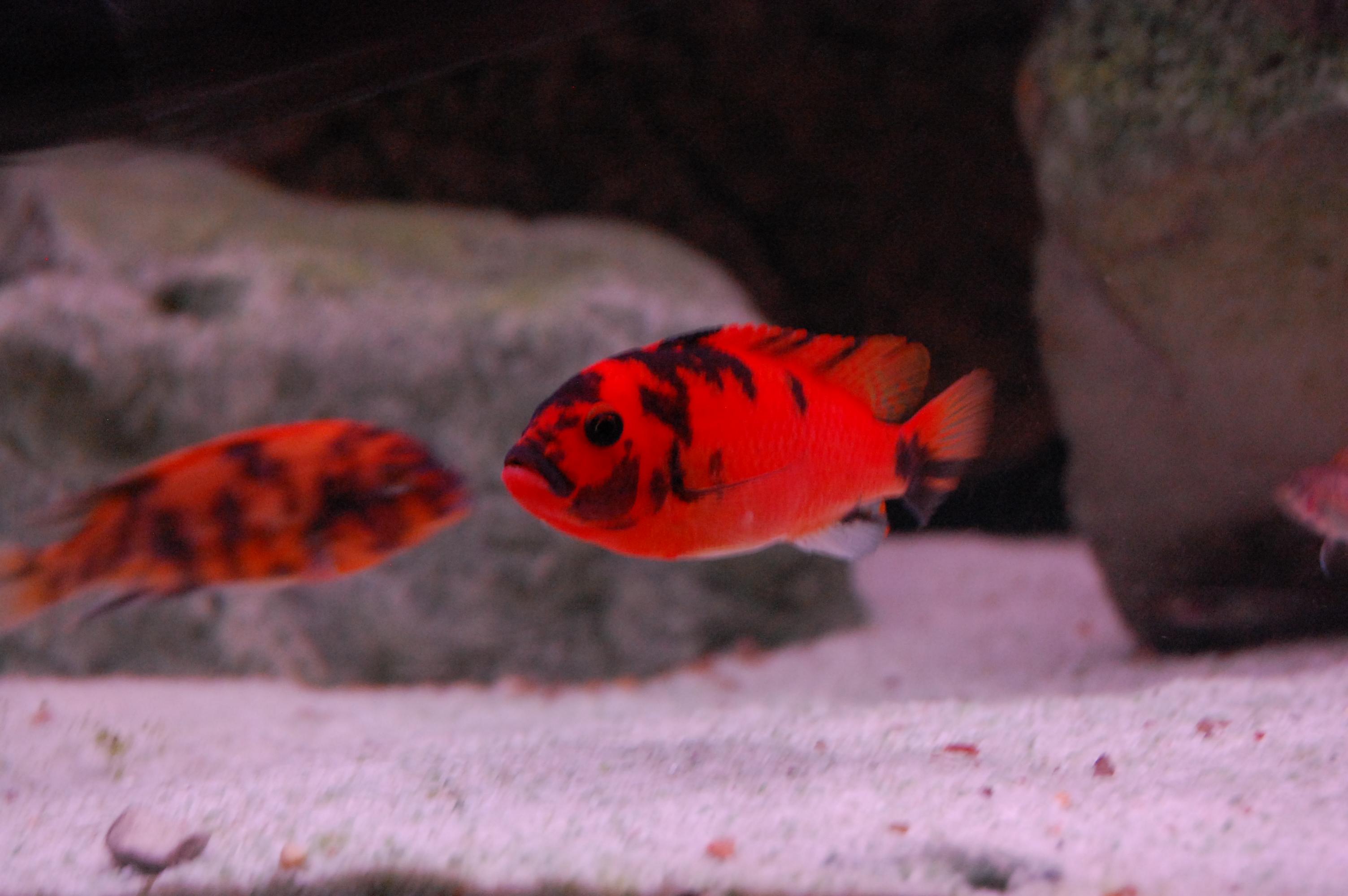 DSC_0202.jpg