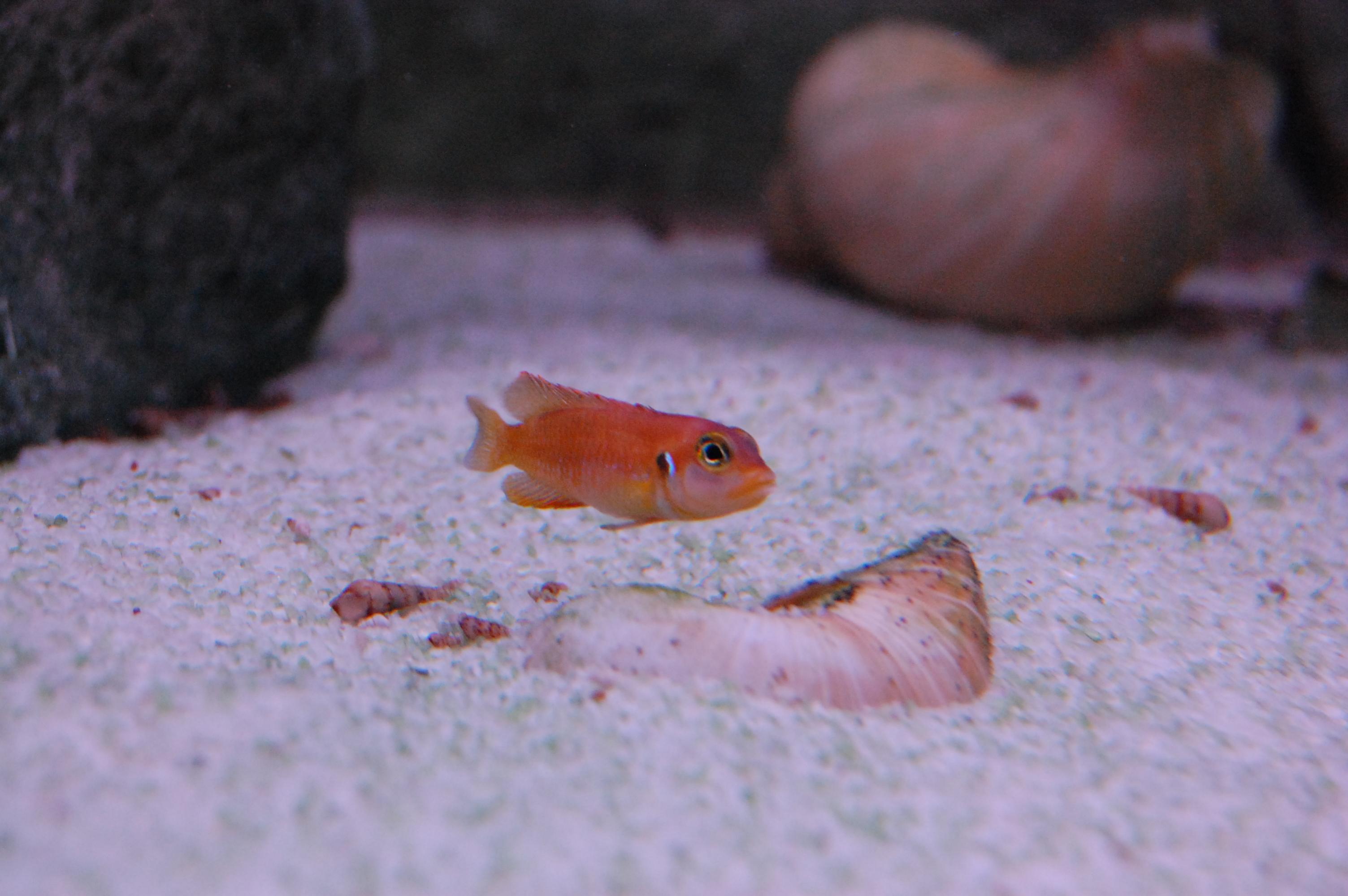 DSC_0305.jpg