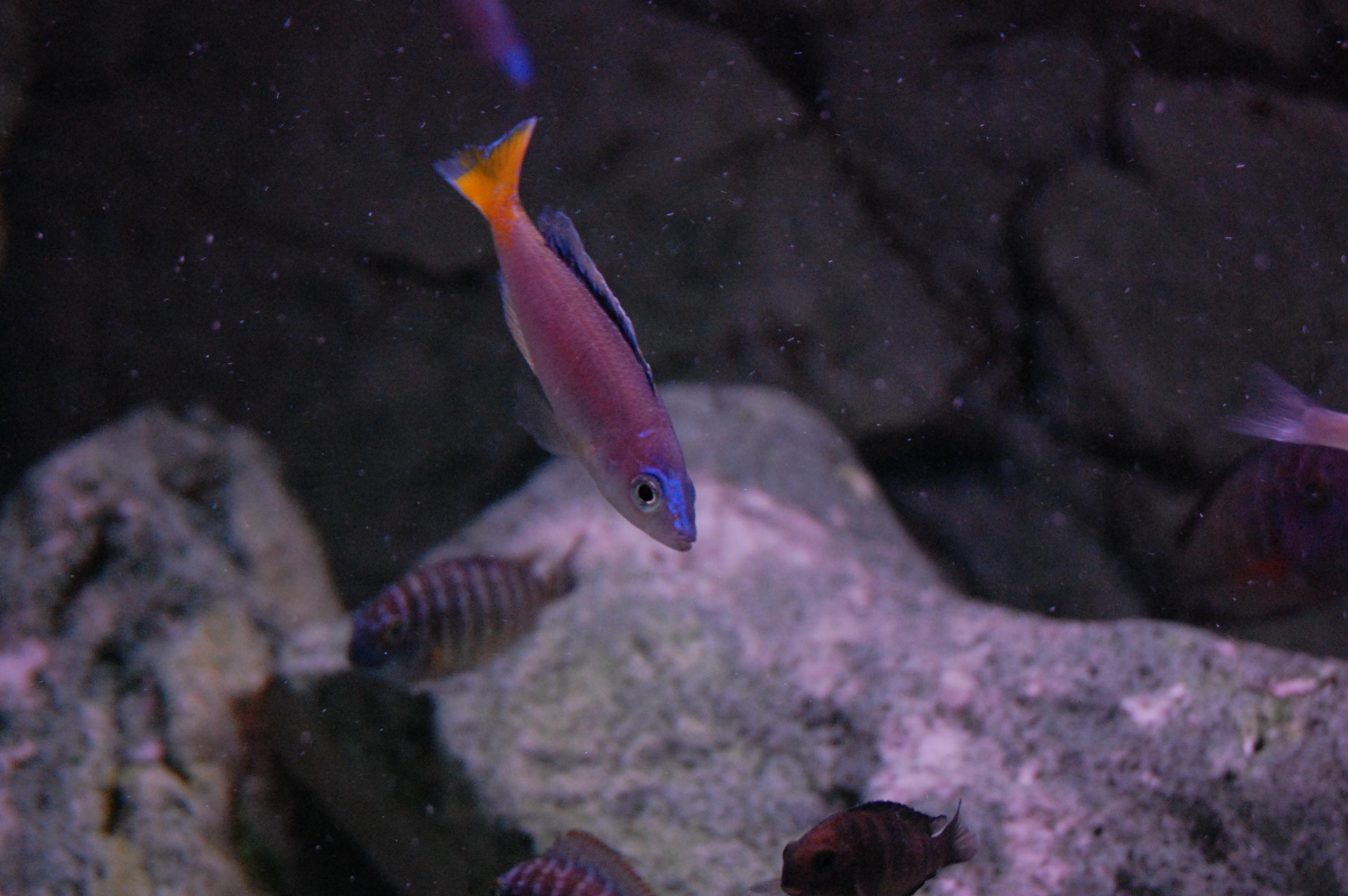 DSC_0295.jpg
