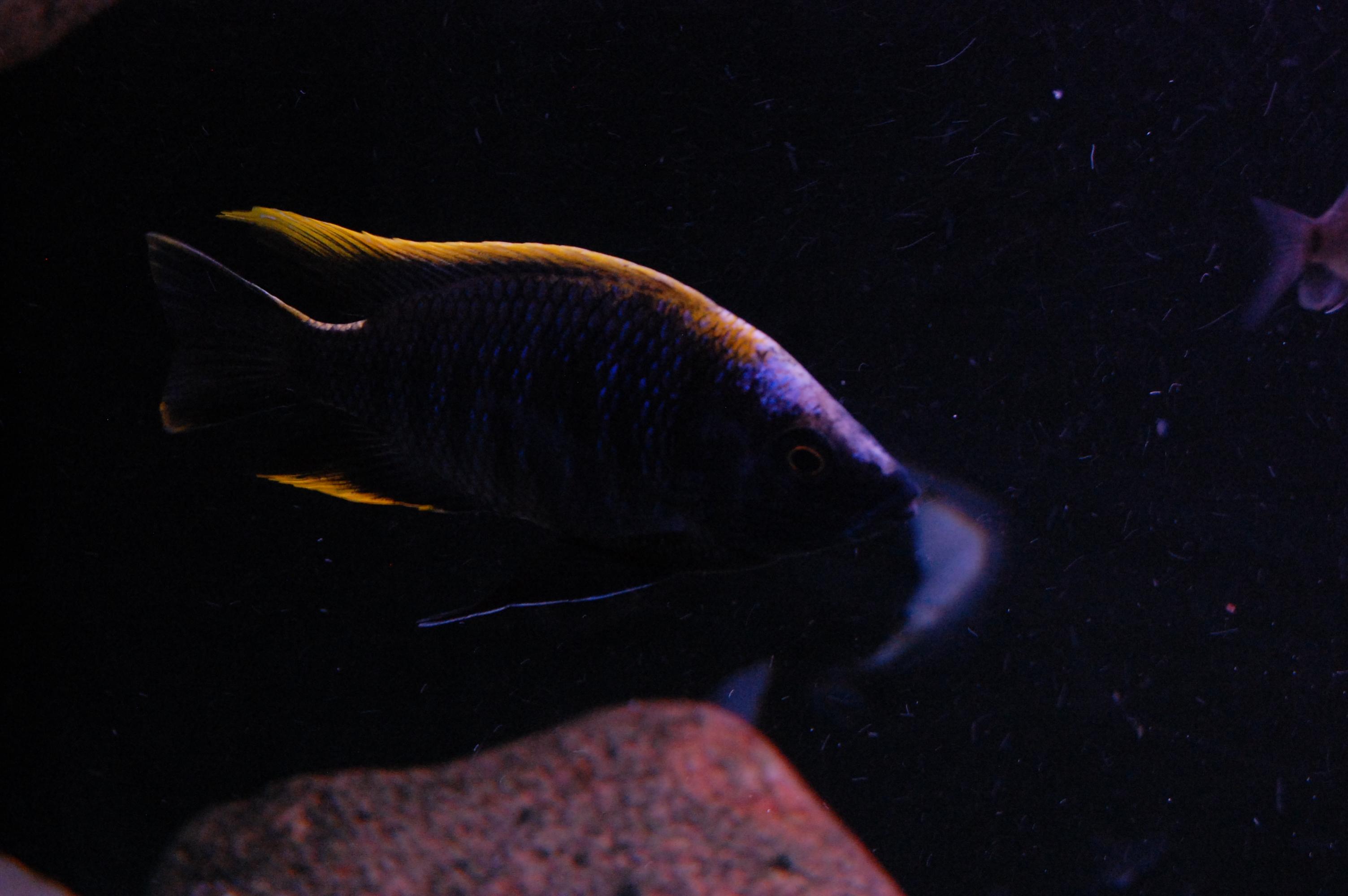 DSC_0221.jpg