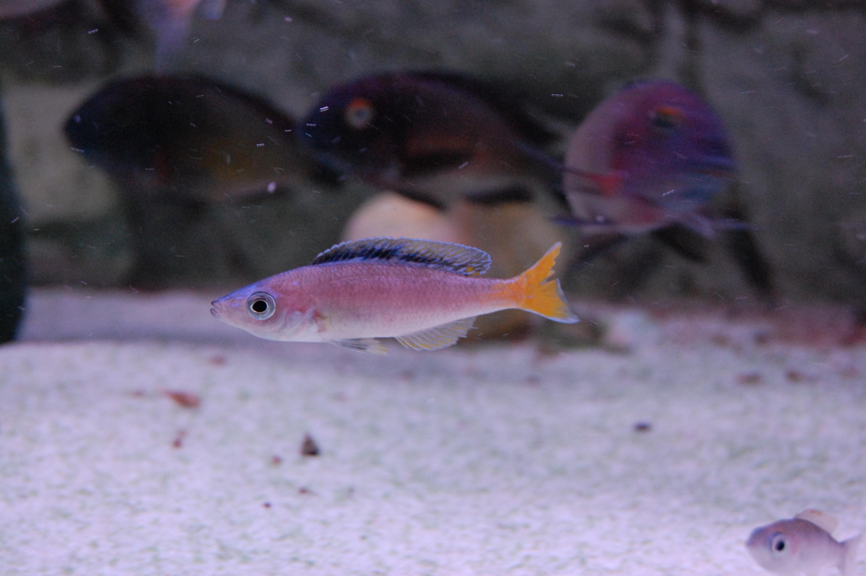 DSC_0315.jpg