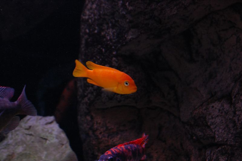 tn_DSC_0125.JPG