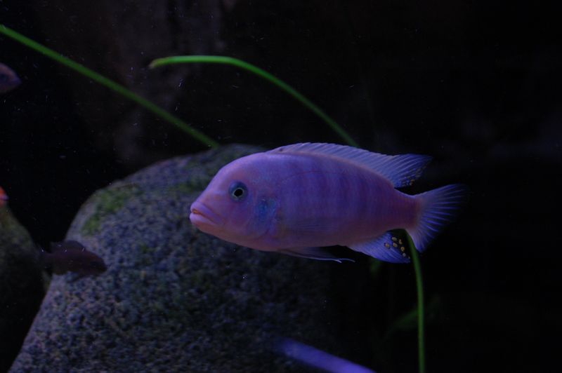 tn_DSC_0043.JPG
