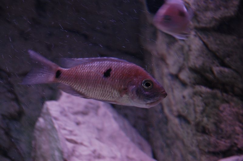 tn_DSC_0367.JPG