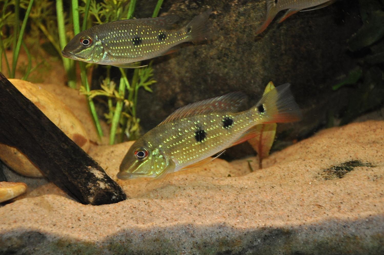 DSC_0125.jpg