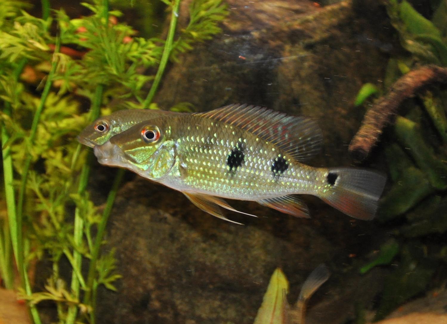 DSC_0143.jpg