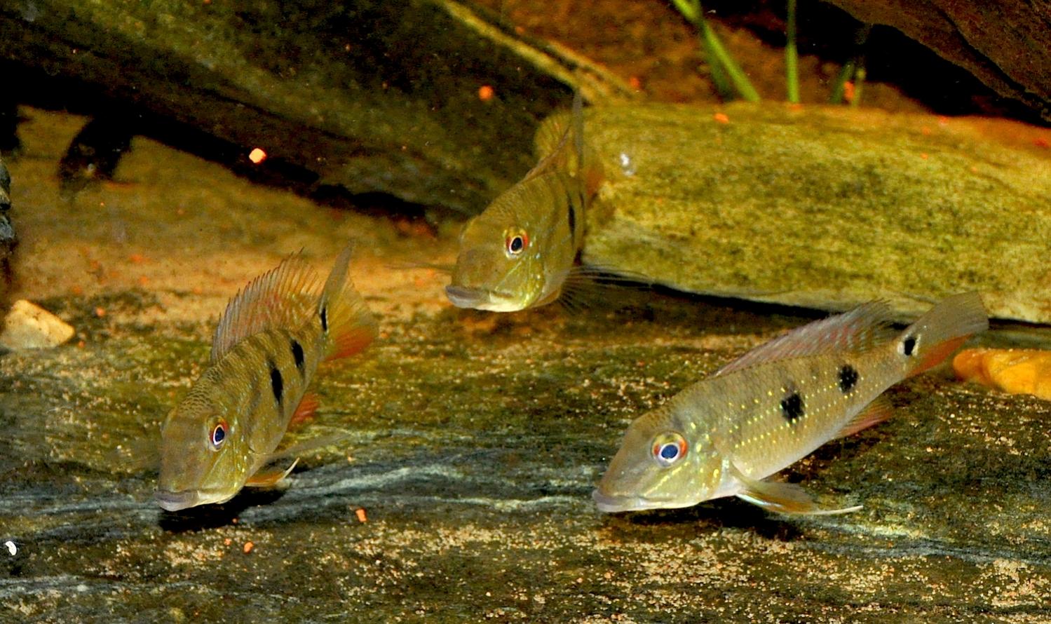 DSC_0138.jpg