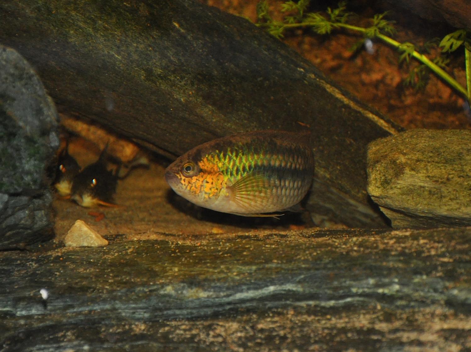 DSC_0148.jpg