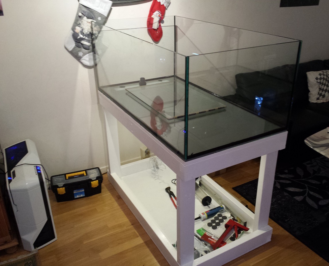 2013-12-13 20.39.01.jpg