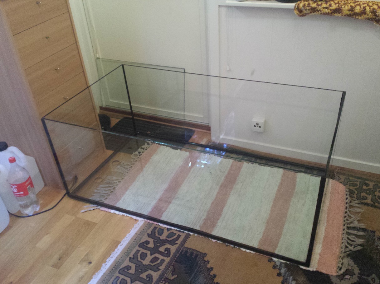 20131124_193420.jpg