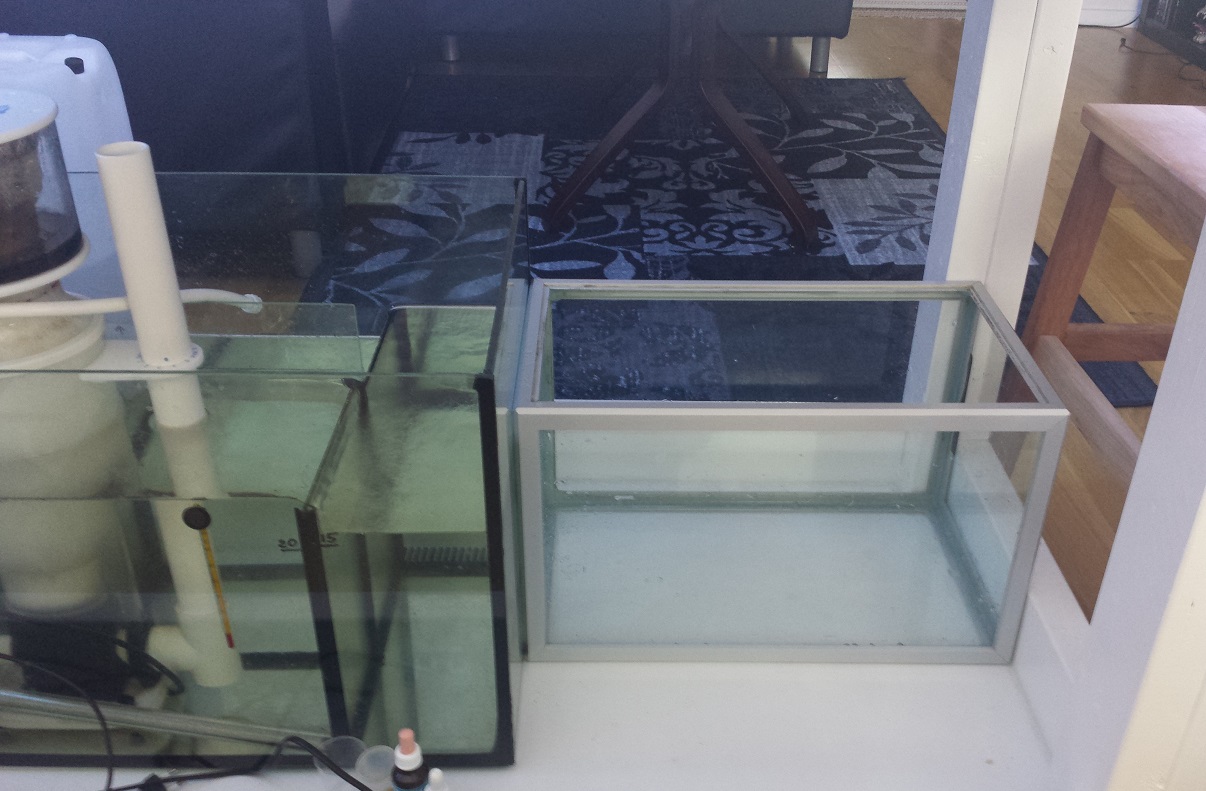 2014-05-01 15.05.23.jpg