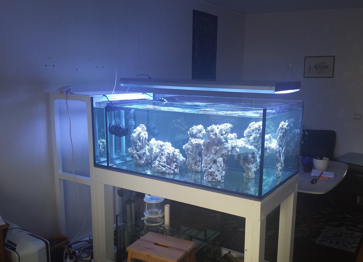 2014-03-25 11.51.14.jpg