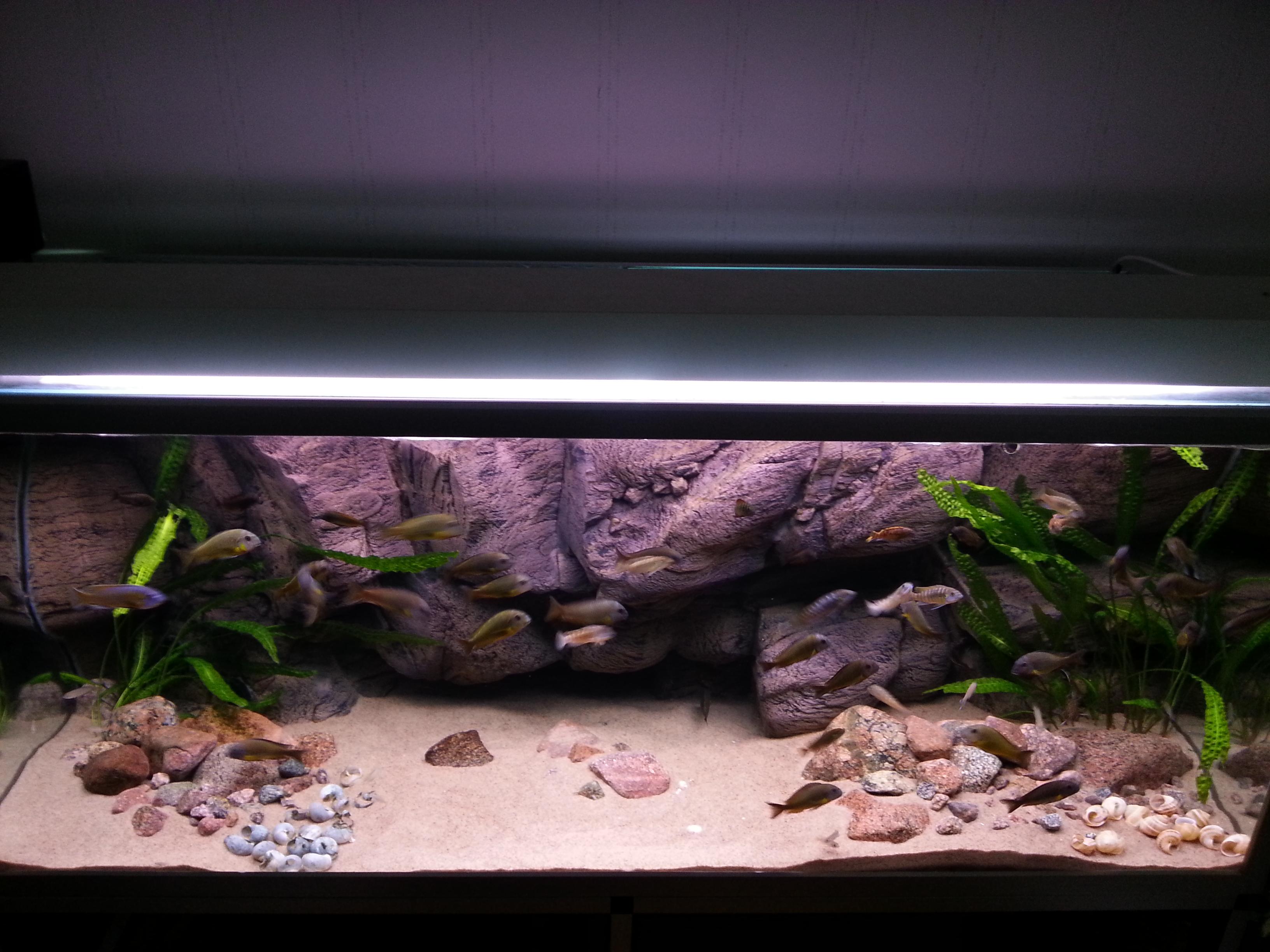 540l1.JPG