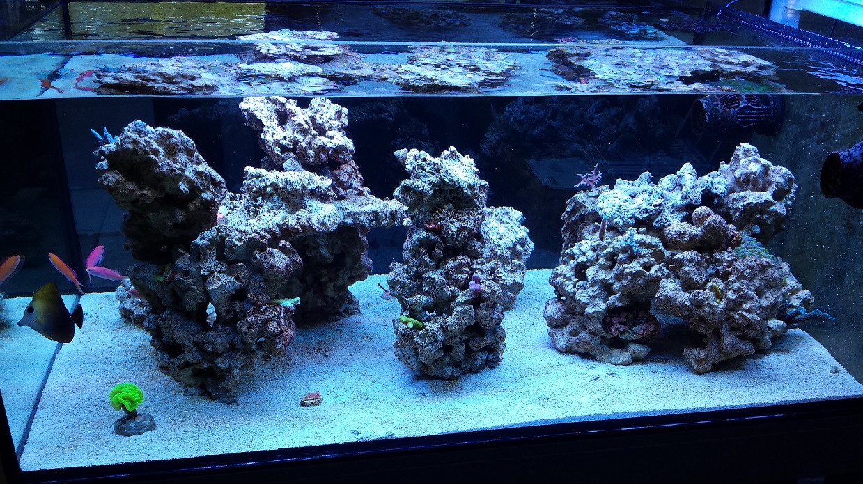 2014-06-07 17.09.15.jpg
