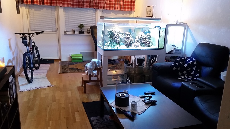 2015-02-03 16.54.32.jpg