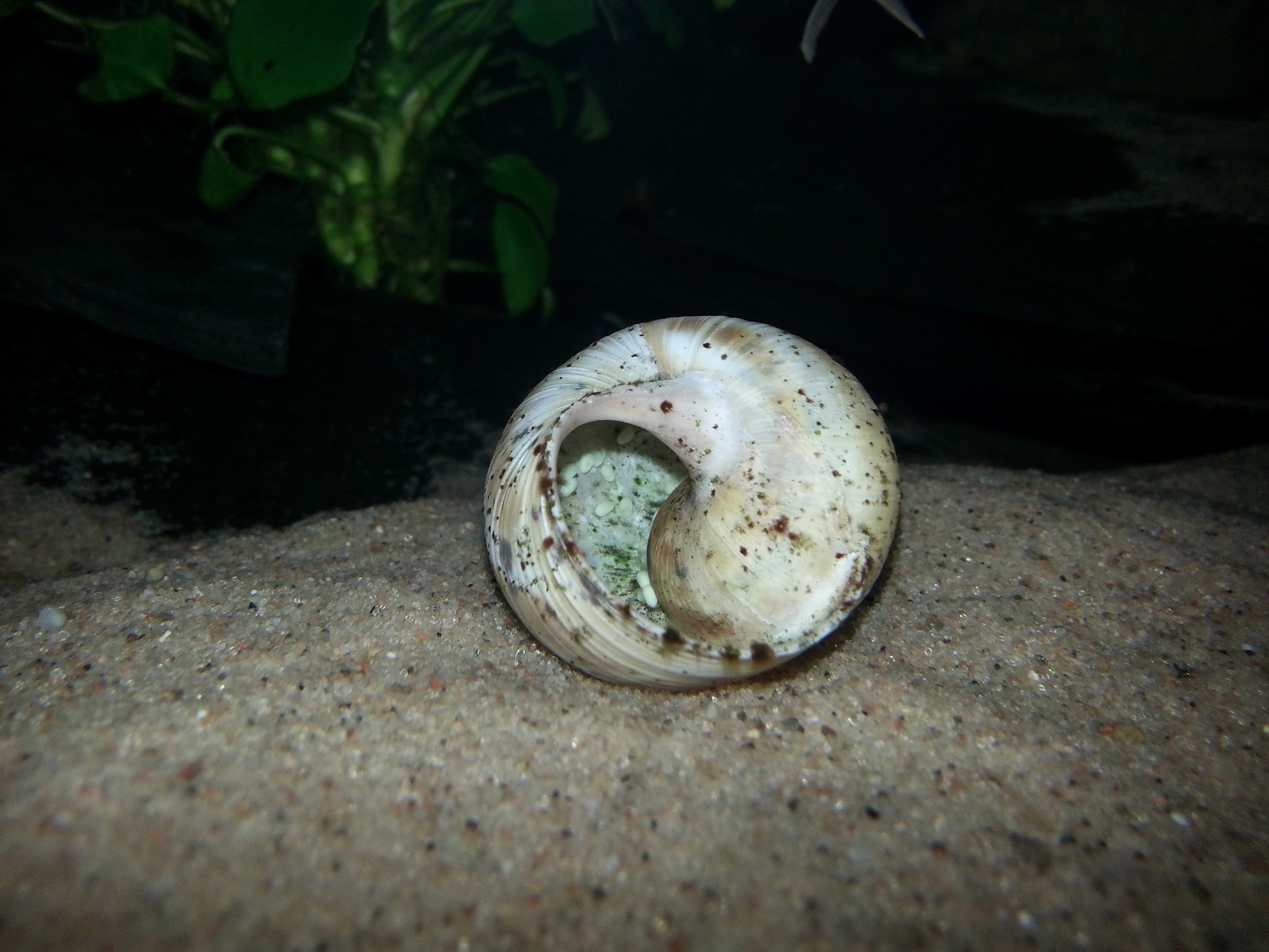 20141004_172319.jpg