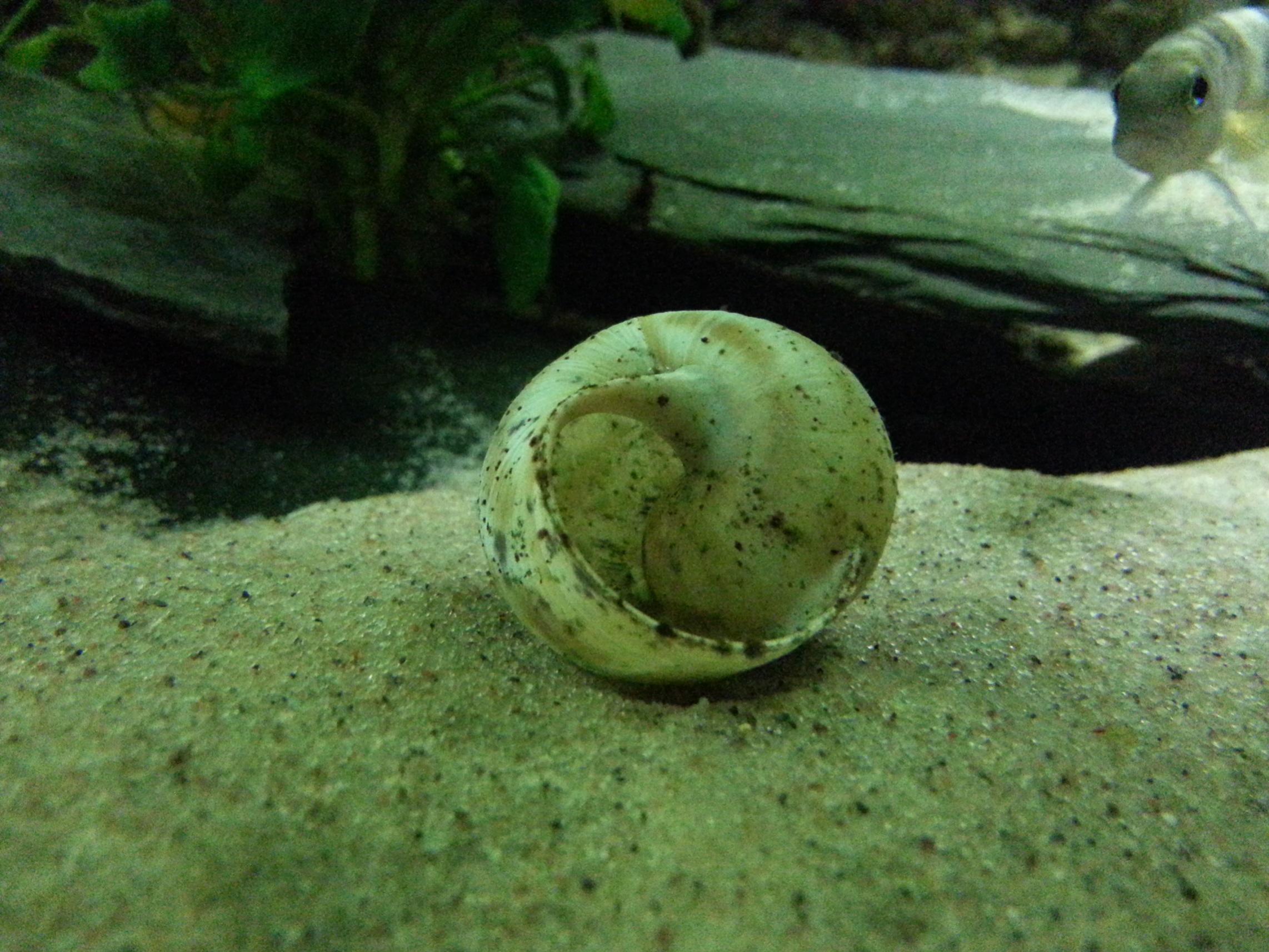 20141004_172336.jpg