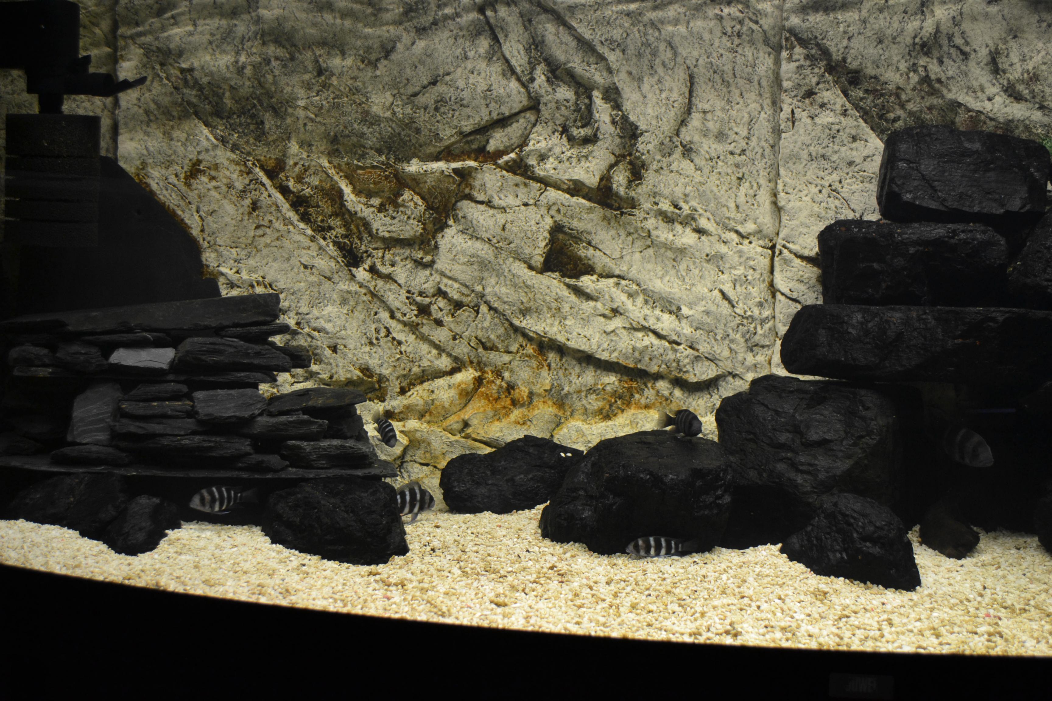 skiffersten Grotta 010.jpg