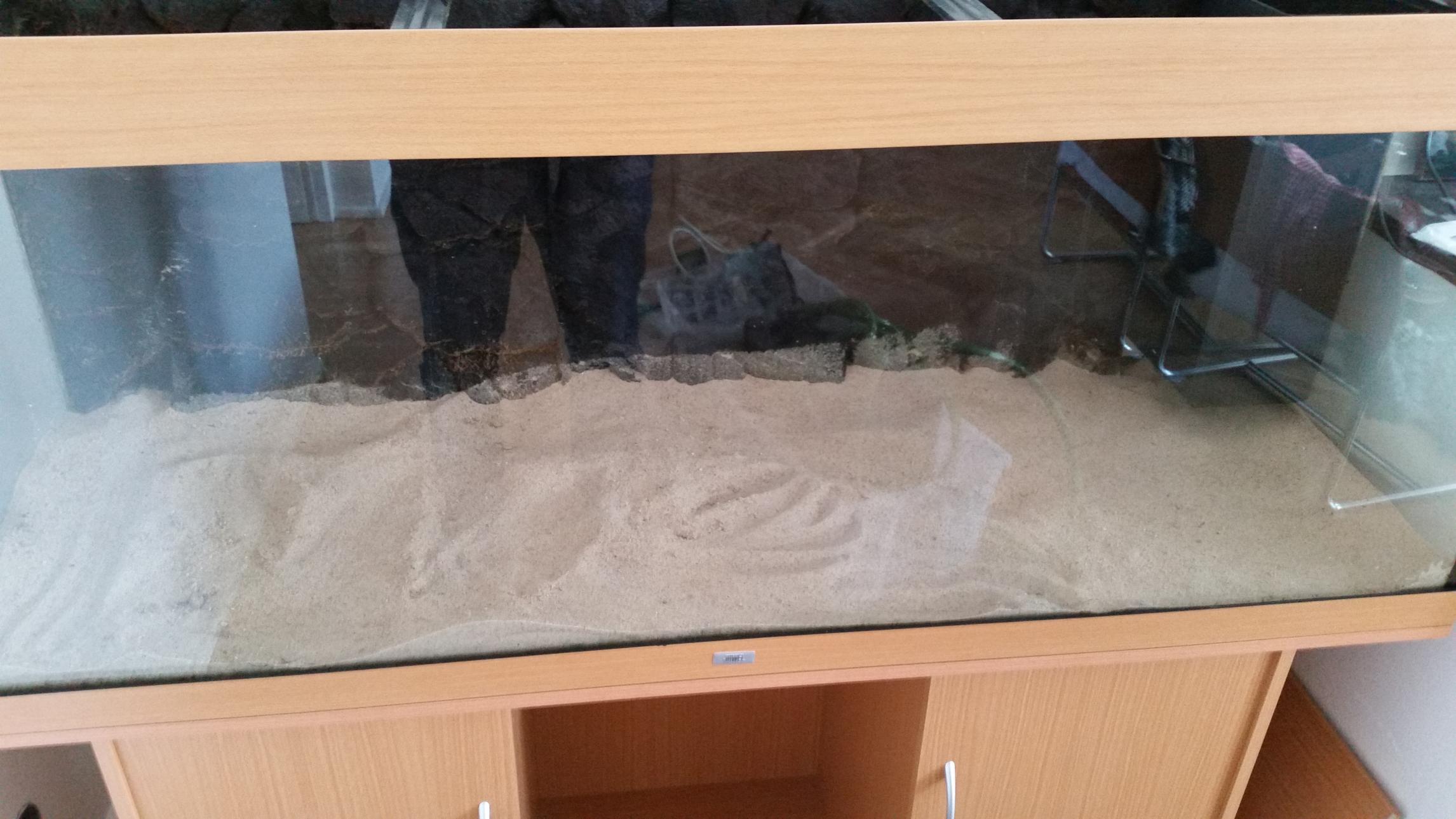 20150406_155654.jpg