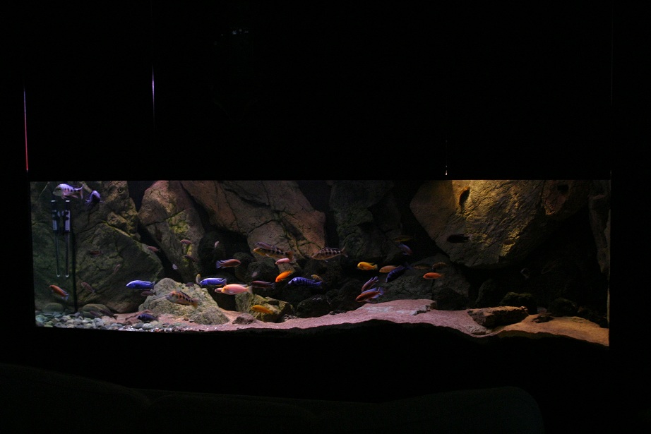 1225L S.jpg