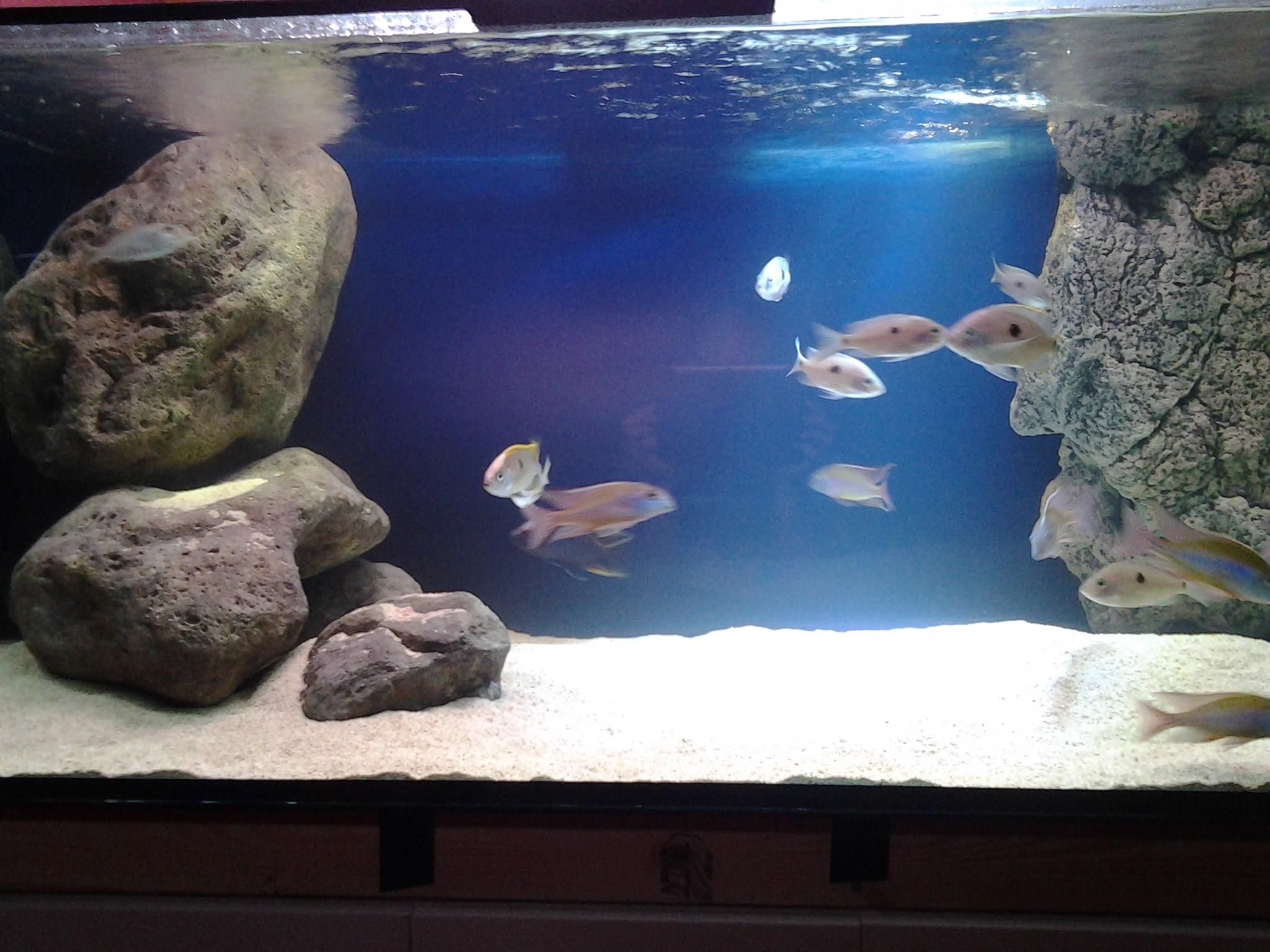 20121224_195152.jpg