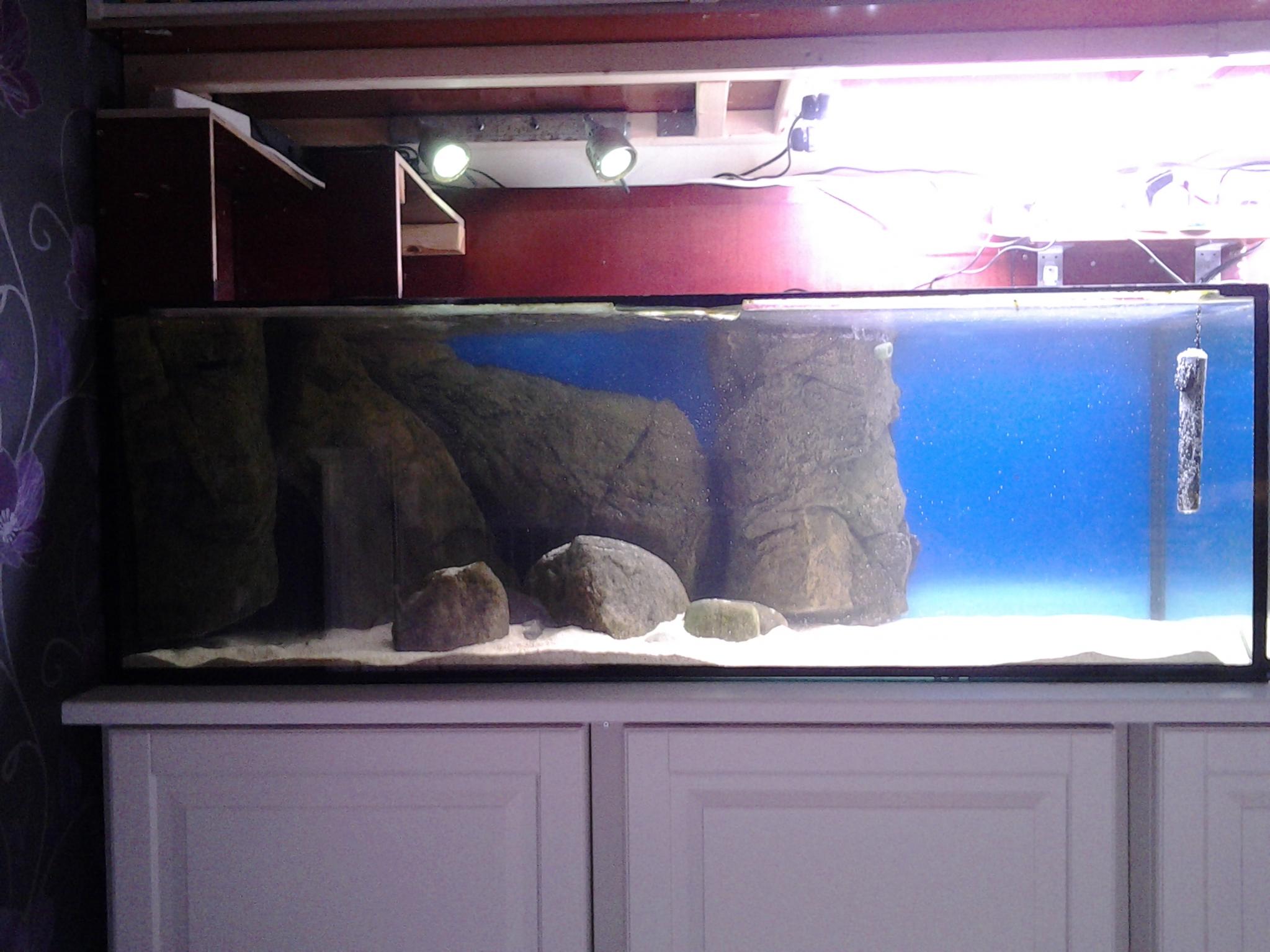 20121224_200309.jpg