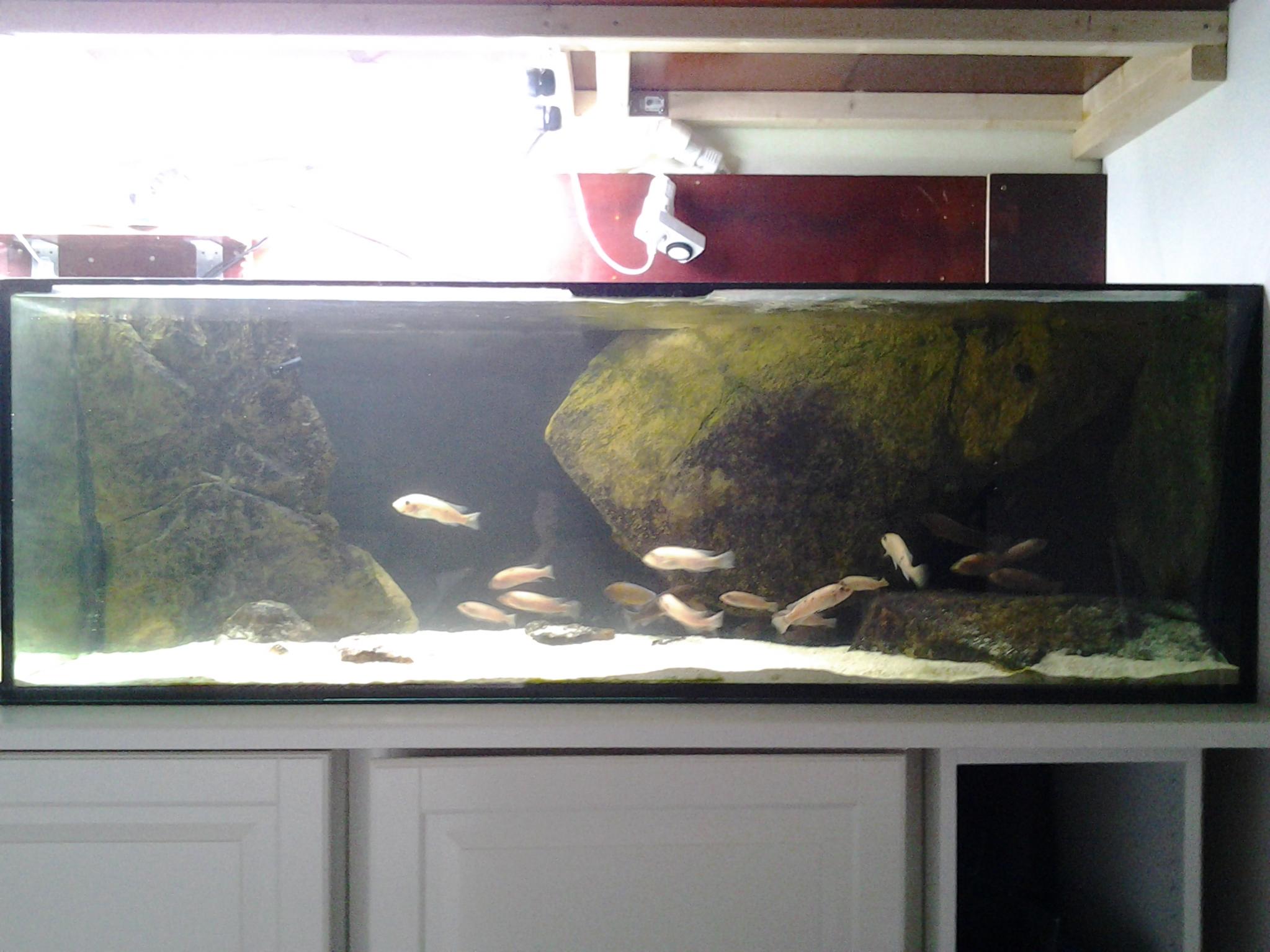 20121224_200503.jpg