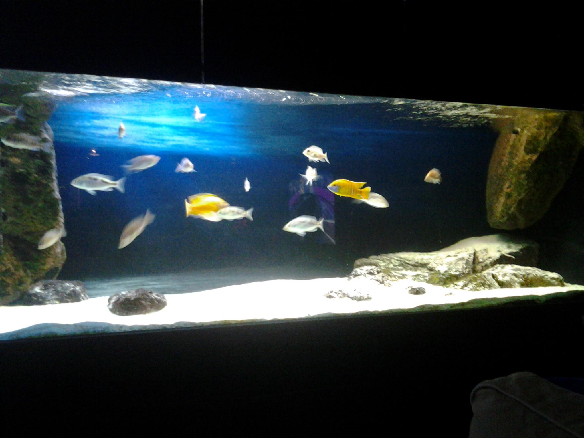 20121222_193125.jpg