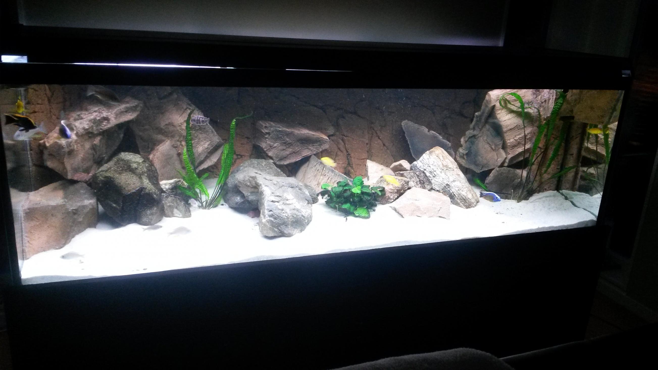 20140426_212201.jpg