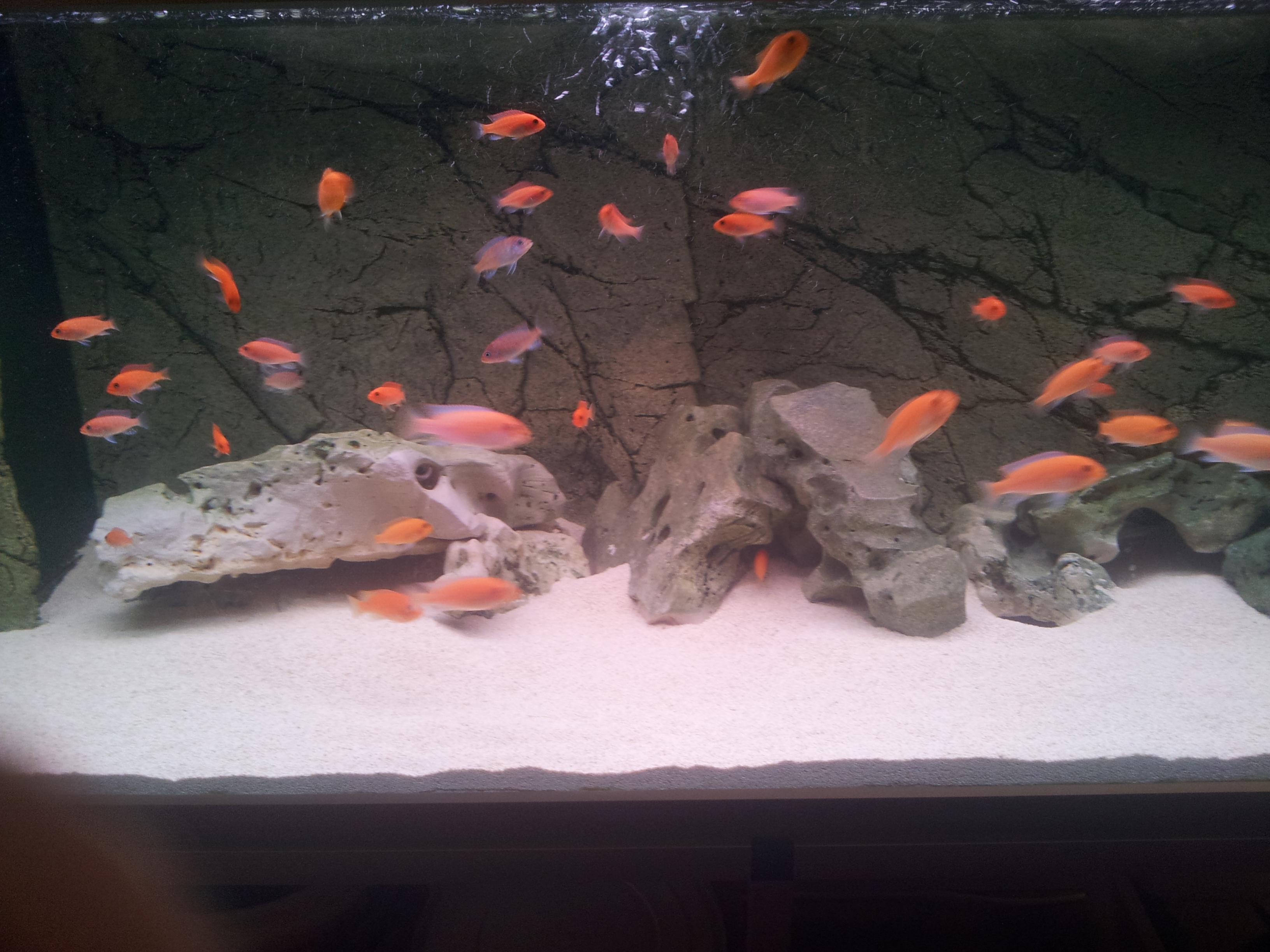 20130312_194339.jpg