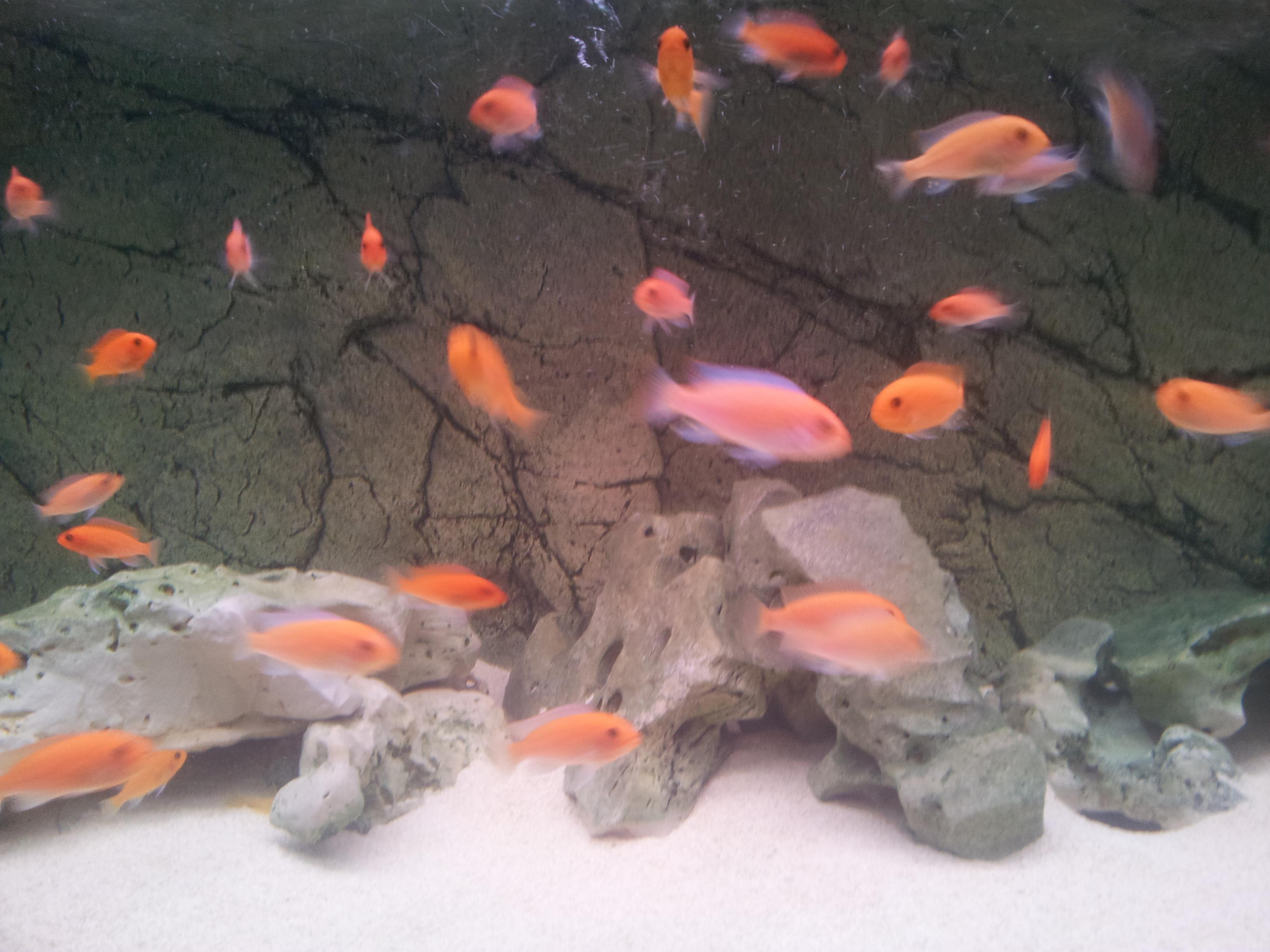 20130312_194347.jpg