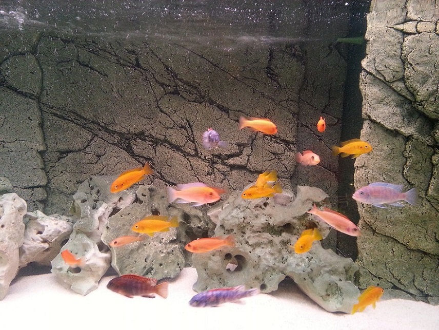 20130817_015011.jpg