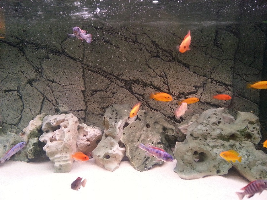20130817_015004.jpg