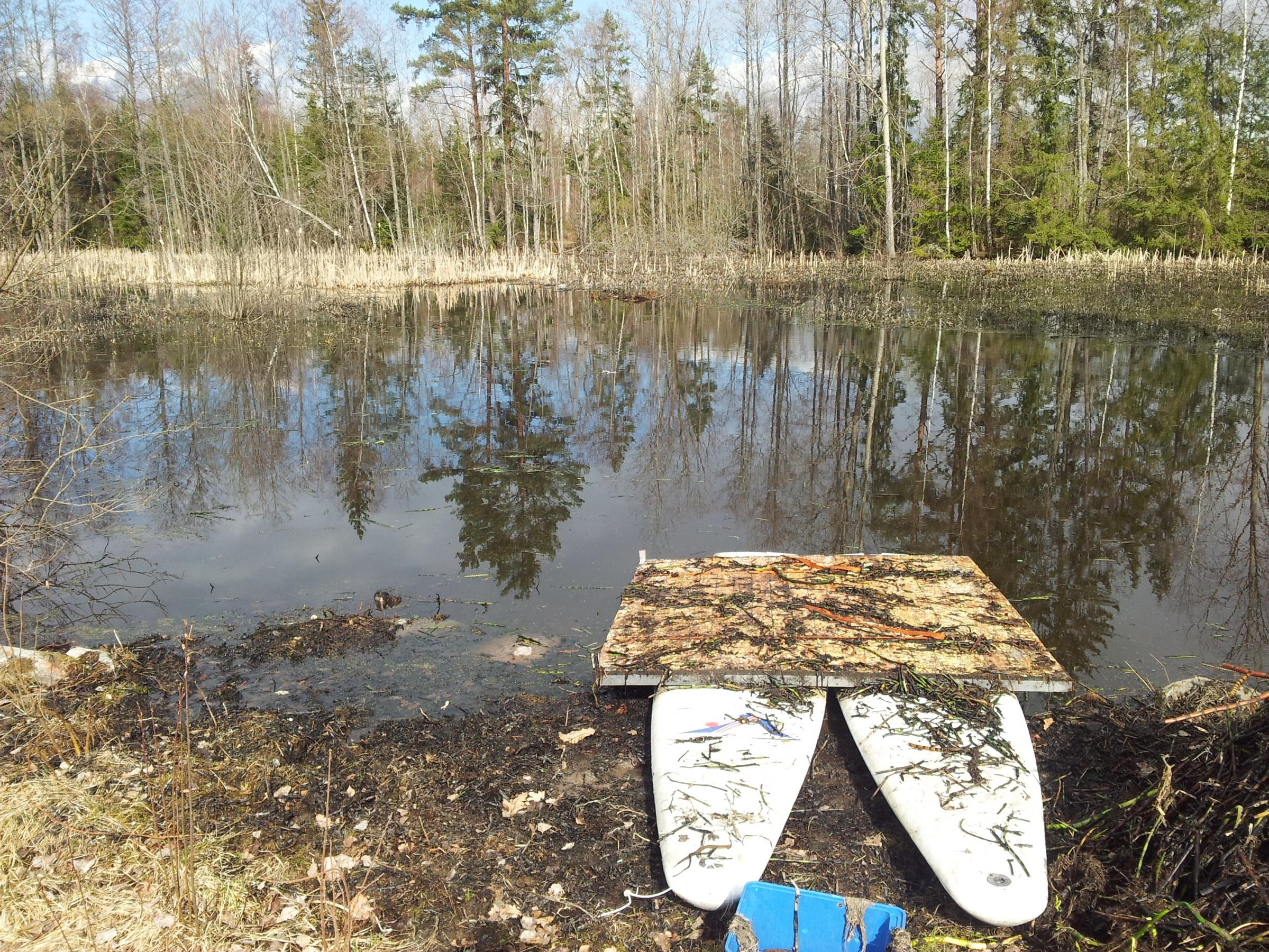 Dammen 2012 flotte.jpg