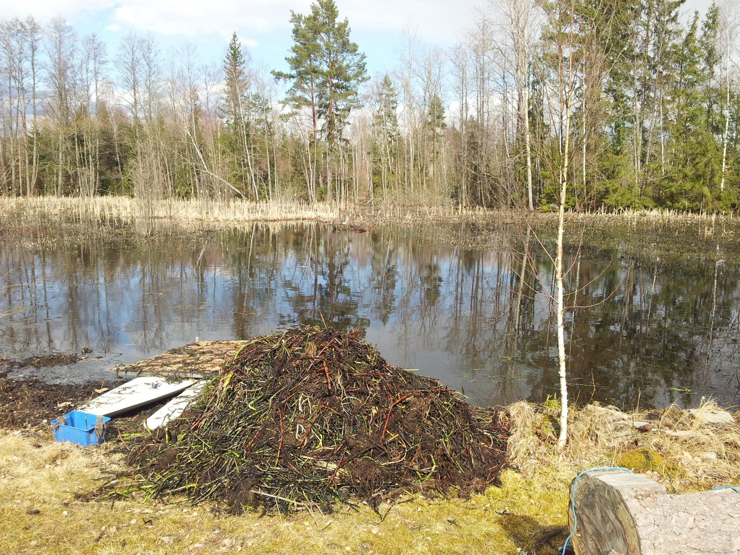 Dammen 2012 högen.jpg