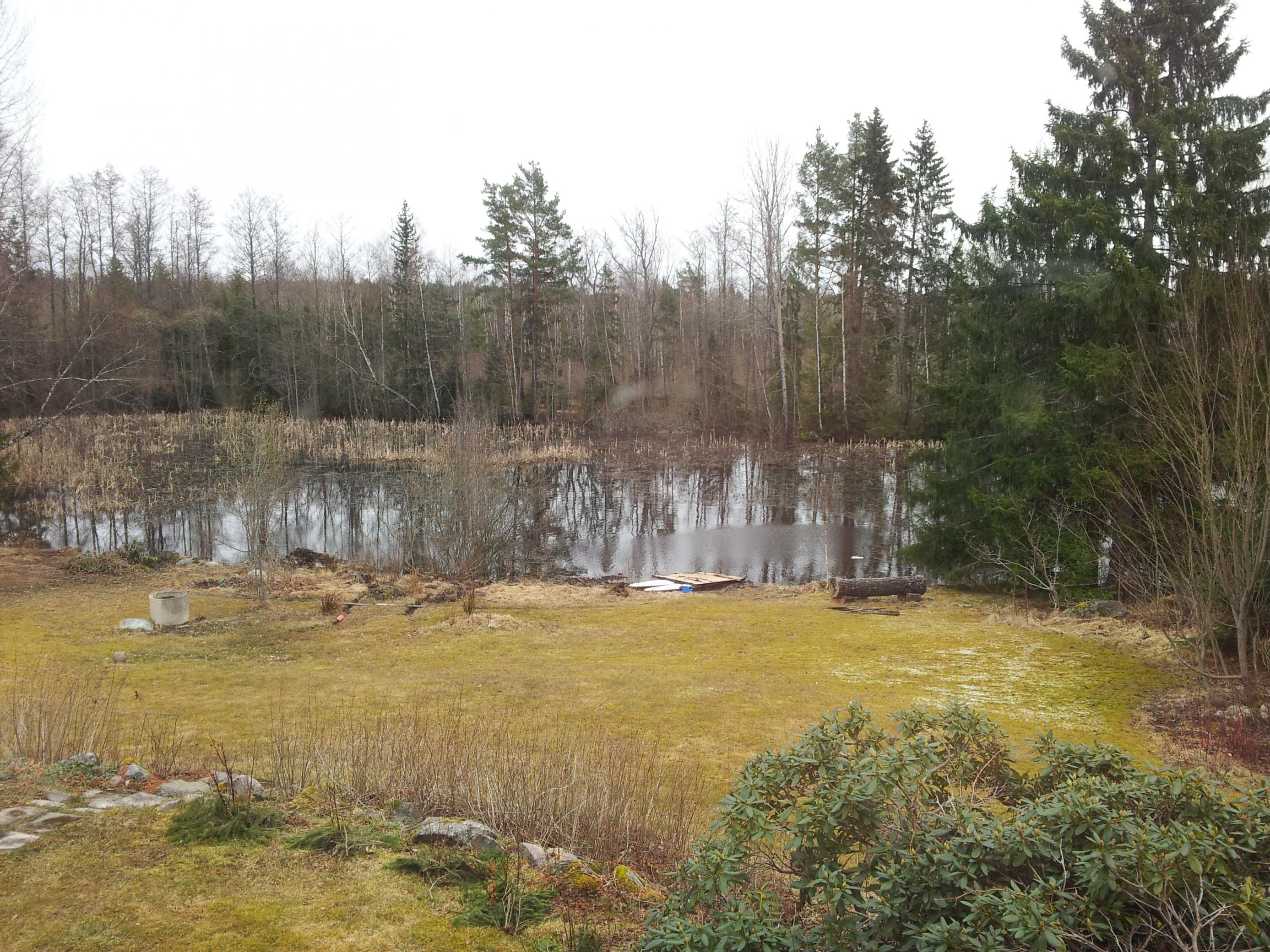 Dammen 2012 helbild innan röj.jpg